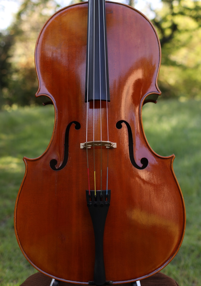Violoncelle Am&eacute;d&eacute;e Dieudonn&eacute; 1953