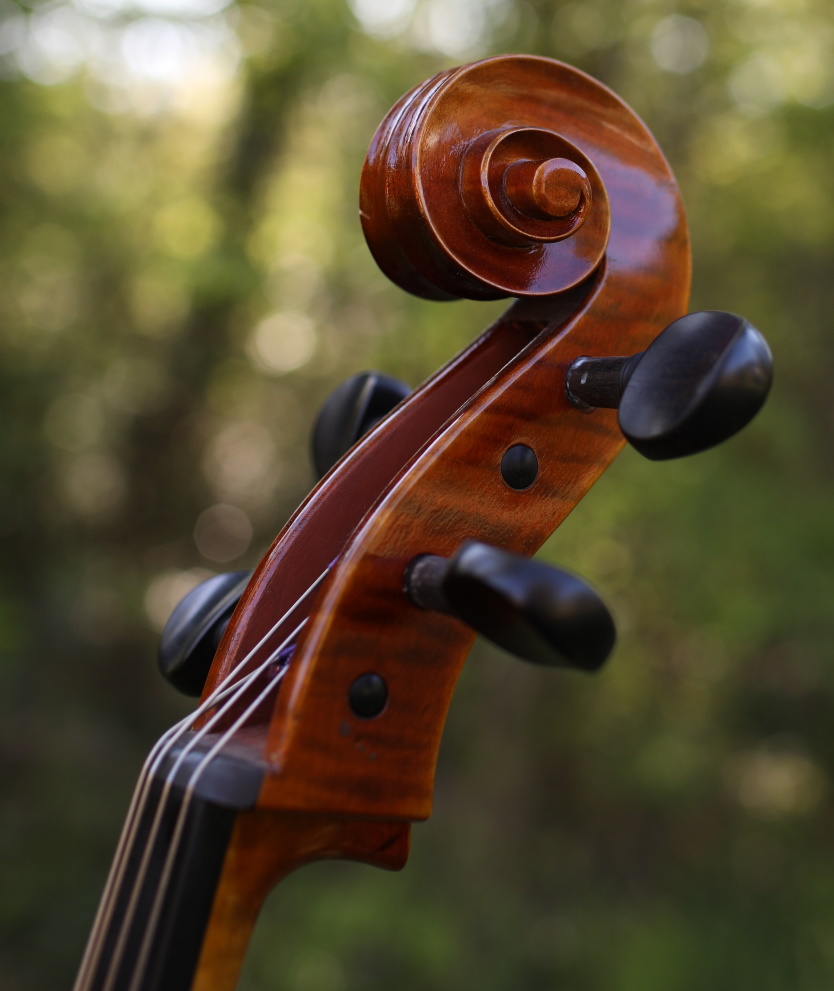 Violoncelle Am&eacute;d&eacute;e Dieudonn&eacute; 1953
